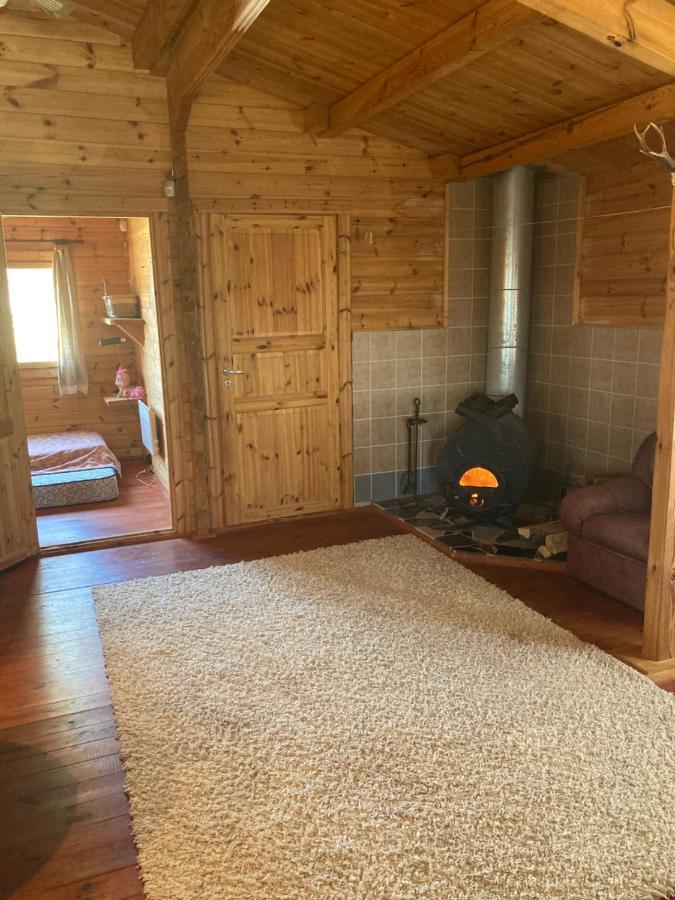 Pikkjaerve Puhkemaja Villa Tilsi Buitenkant foto