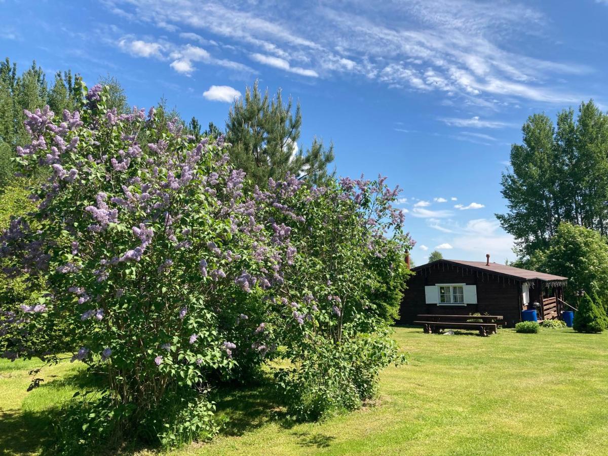 Pikkjaerve Puhkemaja Villa Tilsi Buitenkant foto